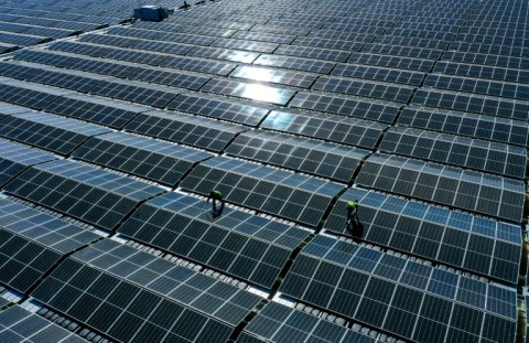 Total renewables capacity worldwide is set to almost double in the next five years, the IEA forecasts, as nations seek greater energy security