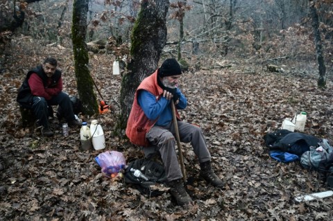 The number of woodcutters is dwindling, with younger people opting for less back-breaking work