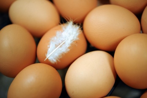 File: Fresh eggs. AFP/Fred Tannueau