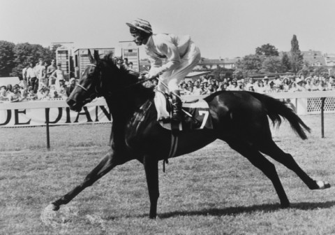 Lester Piggott rode a record nine Epsom Derby winners and is widely regarded as the greatest jockey of all time