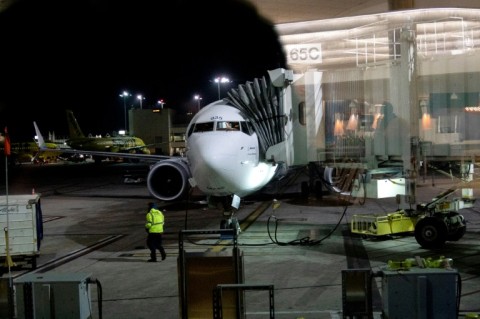 A plane sits at Los Angeles International Airport on January 11, 2023 amid a departure halt