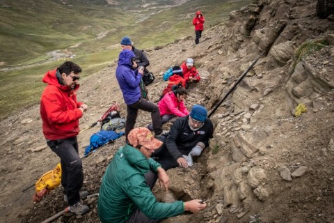 An image released by the Chilean Antarctic Institute shows scientists working at a fossil site in February 2020 at Cerro Guido in southern Chile's Las Chinas valley