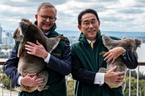 Australian Prime Minister Anthony Albanese and Japan Prime Minister Kishida Fumio pose with koalas in Perth on October 22, 2022