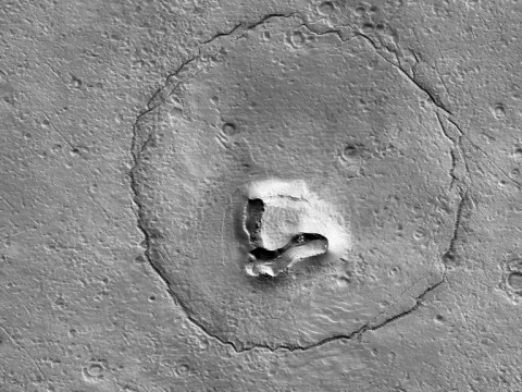 Larger than the average bear: there's a 2-kilometer-wide bear's face on the surface of Mars, space scientists say