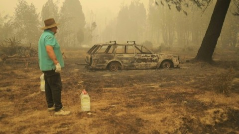 Smoke engulfs towns, Chileans inspect damage amid deadly forest fires
