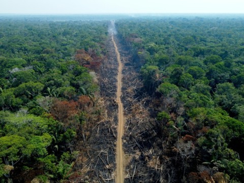 Amazon deforestation was rampant under President Lula's predecessor, Jair Bolsonaro 