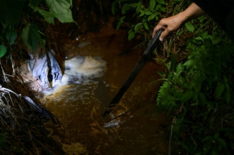 Residents say oil extraction in the region of Lago Agrio has polluted their water sources 