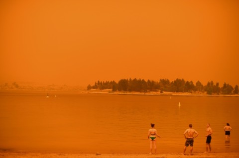 Severe summer heat and drought helped drive the deadly "Black Summer" fires from late 2019 to early 2020