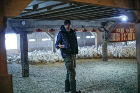 Marcus Henley, the vice-president of Hudson Valley Foie Gras farm in Ferndale says his business would suffer from the ban