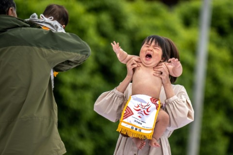 The 'crying sumo' ritual is believed to bring the babies good health