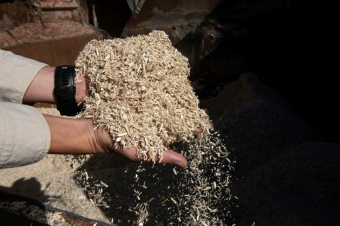 President Cyril Ramaphosa has made developing the country's hemp and cannabis sector an economic priority