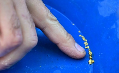 Albert Fausel points to specks of gold found in a creek in Placerville, California -- recent downpours have yielded prime conditions for gold hunting