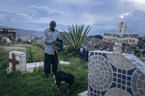 A man walks his goat in Bukavu's largest cemetery. Many poor people have built their homes there for lack of space elsewhere