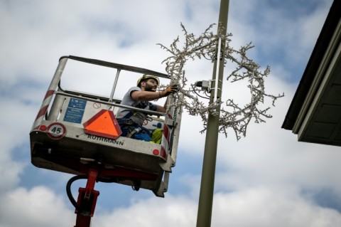 Workers installed festive lights along the main road in Kuesnacht outside Tina Turner's house, in tribute to the rock icon who paid towards the town's Christmas decorations