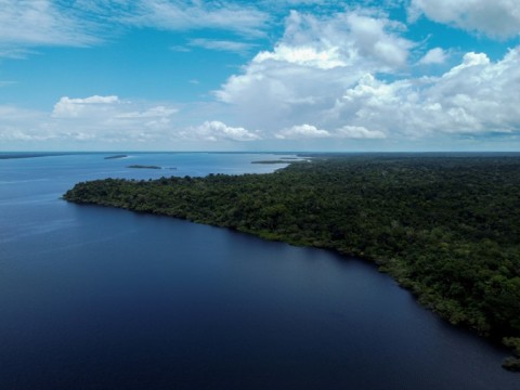 Not far from this area northwest of Manaus, Brazil, scientists are conducting tests on the Amazon rainforest to determine the impact of global warming 