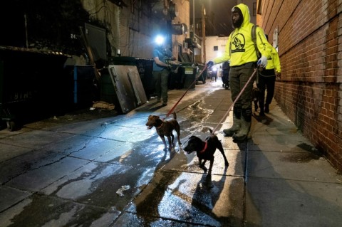 Rat hunters walk with their dogs down an alleyway of the Adams Morgan neighborhood of Washington, DC, on June 3, 2023