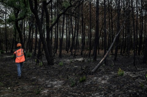 Lethal blazes in France are now are but climate change is pushing the limits of its firefighting strategy