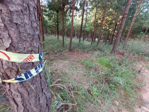 Concerns over robberies targeting tourists in Mpumalanga - eNCA