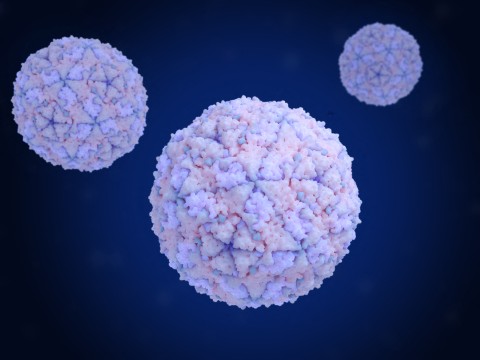 Discussion | Sepsis awareness | A silent killer claiming millions of ...