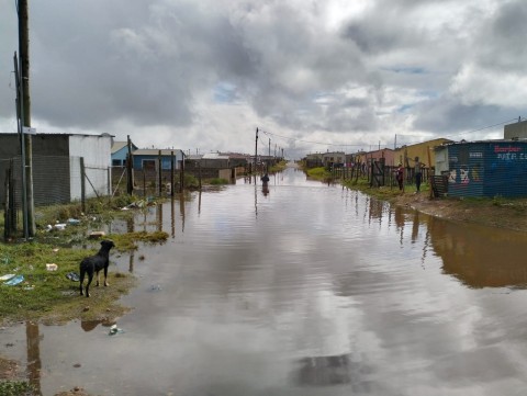 Storms wreak havoc across Gauteng