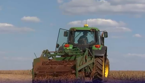 Discussion | Heavy rains a threat to summer crops