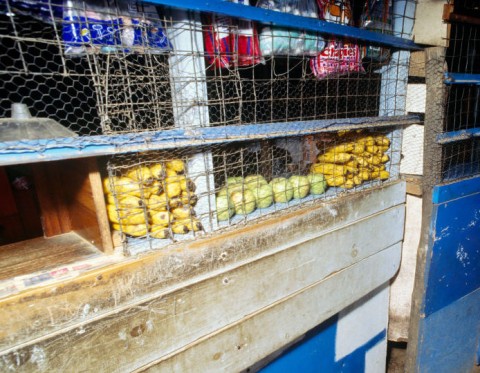 Food safety Alex residents say death toll higher than reported - eNCA