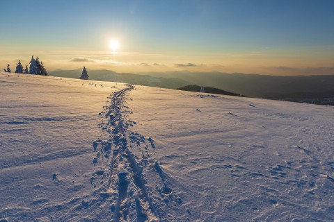 Discussion Impact Of Climate Change On World Economy Enca