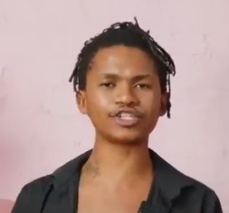 Madlanga told of alleged political interference in blogger's arrest