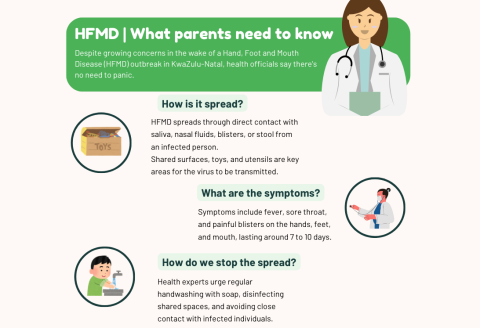 HMFD infographic