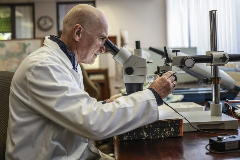 Biologist at the University of Pretoria Professor Nigel Barker uses a microscope at their lab in Pretoria. AFP/Phill Magakoe
