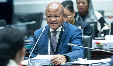 Pressure mounts on Ramaphosa to decide Mchunu's future