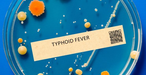 Renewed fears around water safety as typhoid fever cases spike in Tshwane