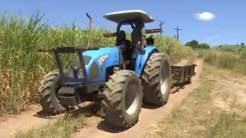 KZN farmers depend on collapsing Tongaat Hulett