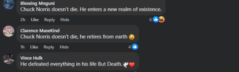 Chuck Norris, the US martial artist and Hollywood action star most famous for his role in "Walker, Texas Ranger," has died, his family said Friday. 