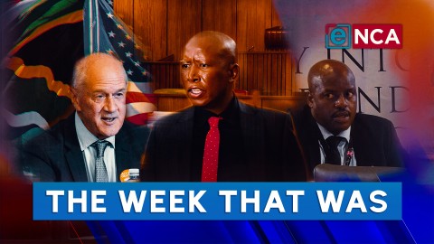 Julius Malema sees red, Julius Mkhwanazi doesn't remember ...