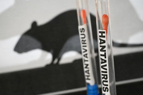 Tracing underway after Hantavirus cases pass through OR Tambo Airport