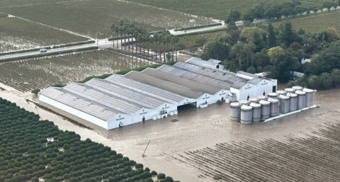 Agriculture counts storm damage costs
