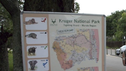 Canadian tourist killed at Kruger after accidental gun discharge