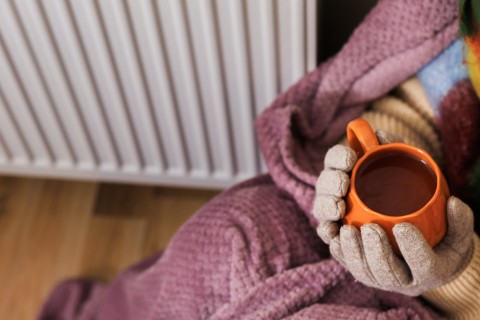 File: A person with gloves and blanket sitting next to a heater. GettyImages/Kyrylo Syvun