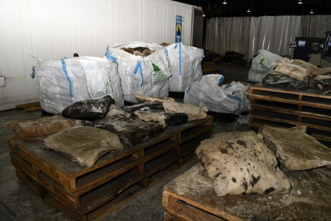  methamphetamine 