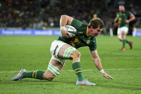 Springbok-Star wechselt zu den Bulls