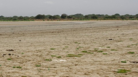 Scientists blame the lagoon's disappearance on a prolonged drought combined with the overexploitation of aquifers for farming and tourism