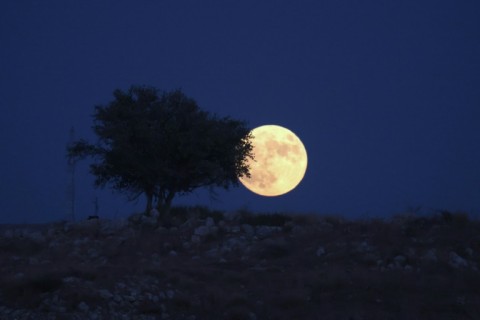 A picture taken from the Israeli city of Rosh Haain shows the 'Blue Moon' rising over the West Bank, on August 30, 2023