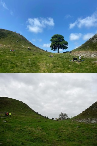 Sycamore Gap was one of the most photographed spots in the UK, and also featured in 'Robin Hood: Prince of Thieves'