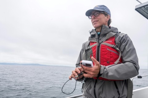 An overall warming of sea temperatures is drawing juvenile great white sharks further north, says Salvador Jorgensen, a marine ecologist and professor at California State University Monterey Bay