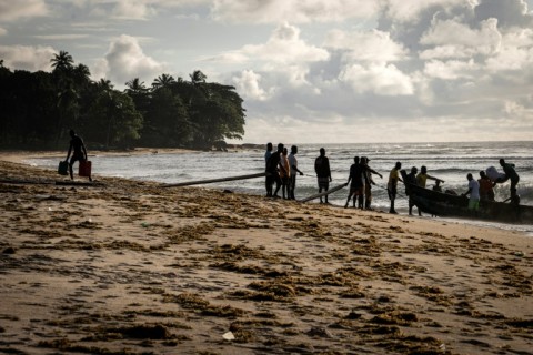 Fishermen and surfers live in harmony