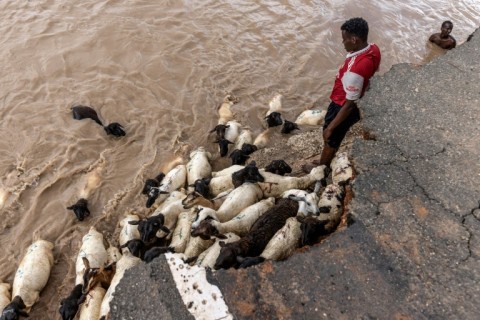 Herdsmen try to help their goats goats to cross a flooded area in Garissa 