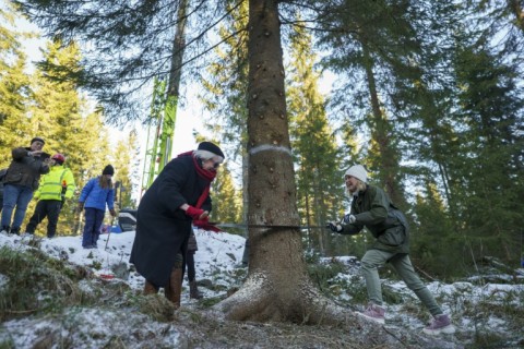 Norway&#039;s Christmas tree gift gets London tongues wagging - eNCA