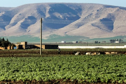 Agriculture was once a pillar of northeast Syria's economy, but years of war and the effects of climate change have dealt a blow to farmers