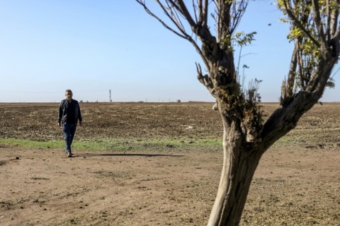 Faruk Mohammed, a former farmer, wants northeast Syria's Kurdish authorities to 'save what's left' of the region's agricultural land